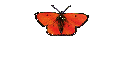 Familie Volderauer