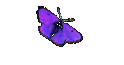Kalender