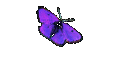 Klaus