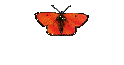 Klaus