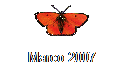 Marco 2007