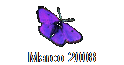 Marco 2008