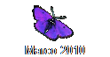 Marco 2010