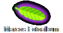 Marcos Fotoalbum