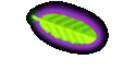 Nicola Volderauer