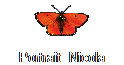 Portrait  Nicola