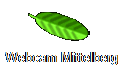 Webcam Mittelberg